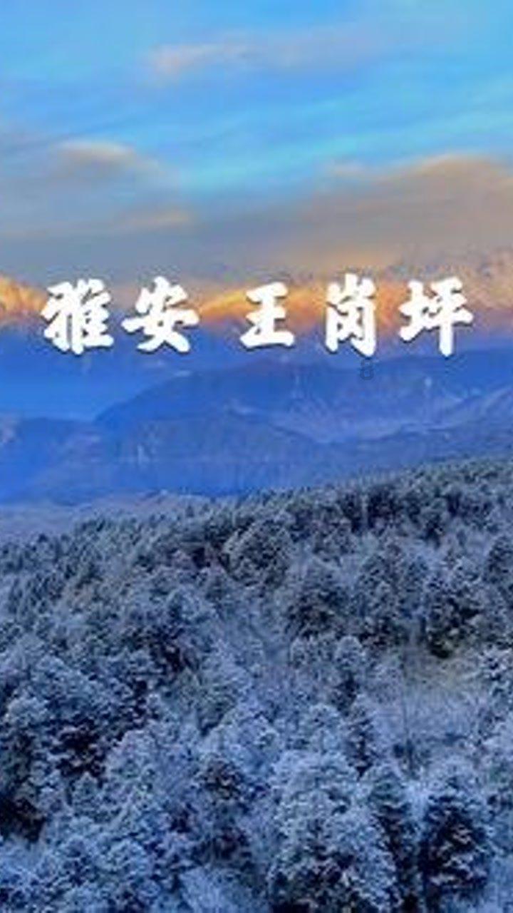 茶氨酸有什么作用茶氨酸有什么作用游戏画面