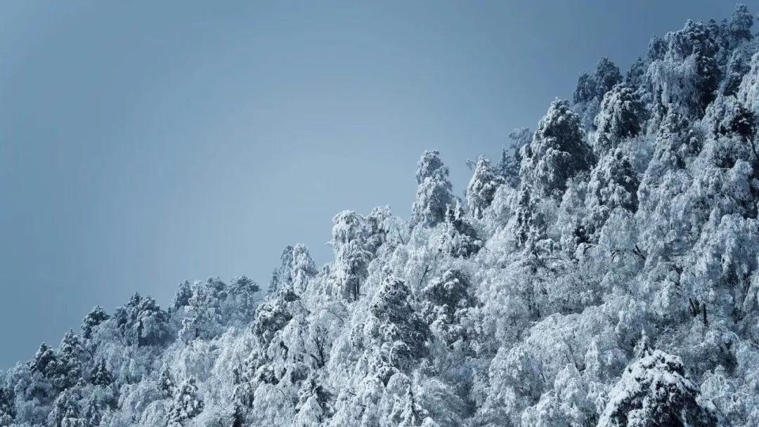 2月1日起执行！福建省医疗保障局最新通知