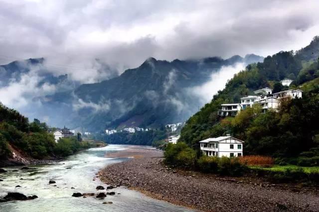 小艾比当营养师